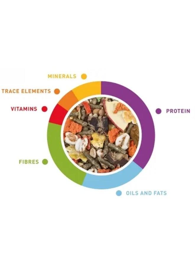 Padovan Cavie Grand Mix -850gm - Guinea Pig Food - Image 2